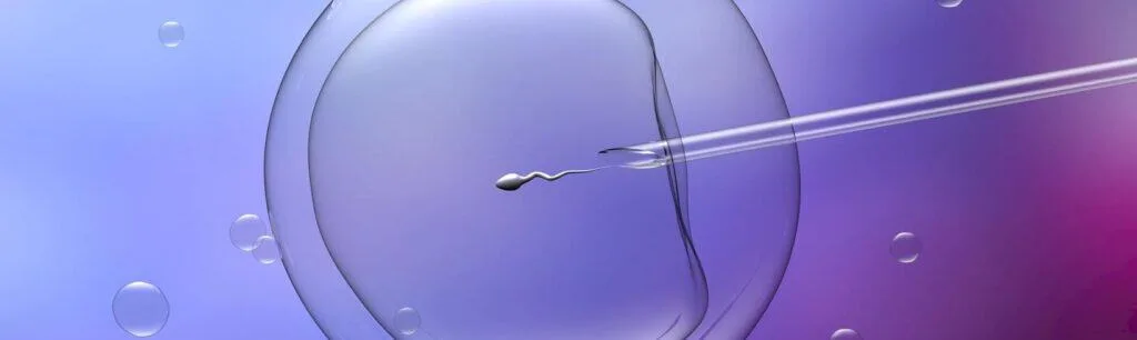Fecundación In-Vitro